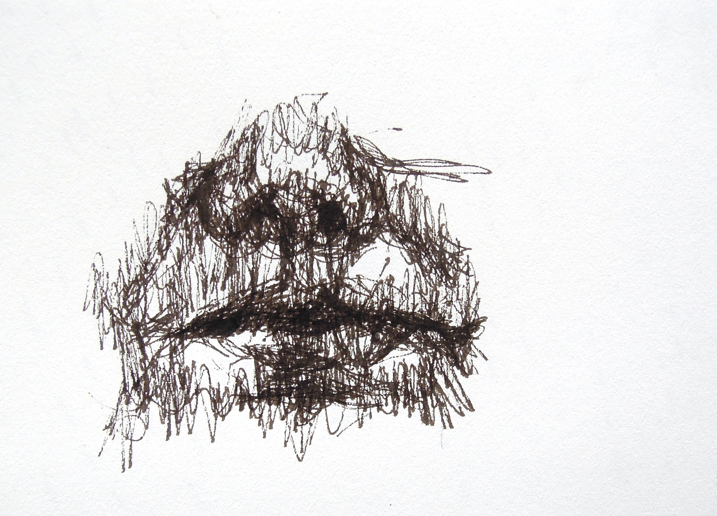 dessin